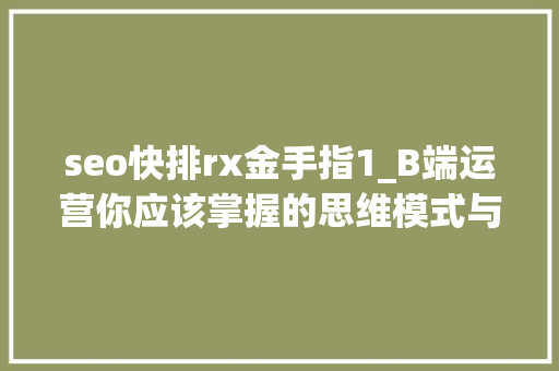 seo快排rx金手指1_B端运营你应该掌握的思维模式与常识 seo快排rx金手指1_B端运营你应该掌握的思维模式与常识 网站建设公司
