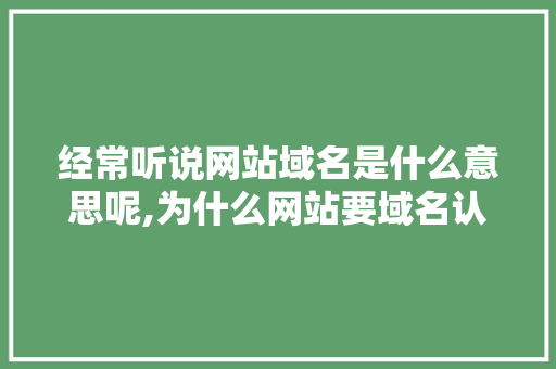 经常听说网站域名是什么意思呢,为什么网站要域名认证。 经常听说网站域名是什么意思呢,为什么网站要域名认证。 神马SEO