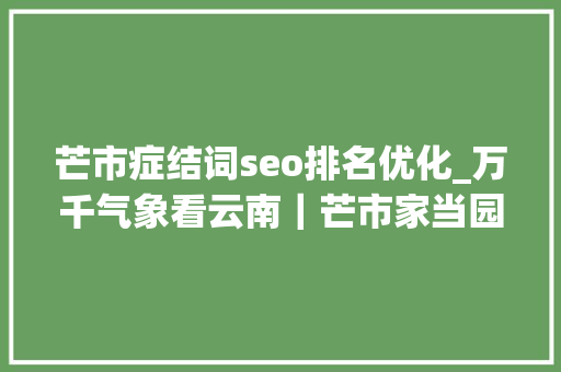 芒市症结词seo排名优化_万千气象看云南｜芒市家当园优化营商软情形 促园区企业 芒市症结词seo排名优化_万千气象看云南｜芒市家当园优化营商软情形 促园区企业 必应SEO