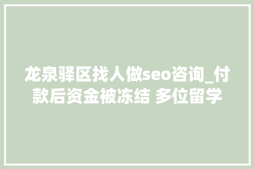 龙泉驿区找人做seo咨询_付款后资金被冻结 多位留学生遭遇网购国际机票骗局
