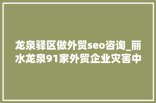 龙泉驿区做外贸seo咨询_丽水龙泉91家外贸企业灾害中成长