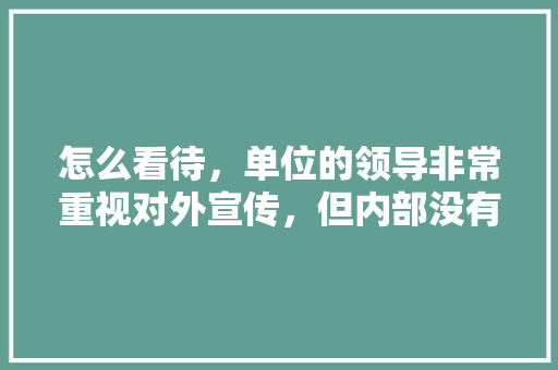 怎么看待，单位的领导非常重视对外宣传，但内部没有实质的变化,为什么公司对外宣传不好。 怎么看待，单位的领导非常重视对外宣传，但内部没有实质的变化,为什么公司对外宣传不好。 网站建设公司