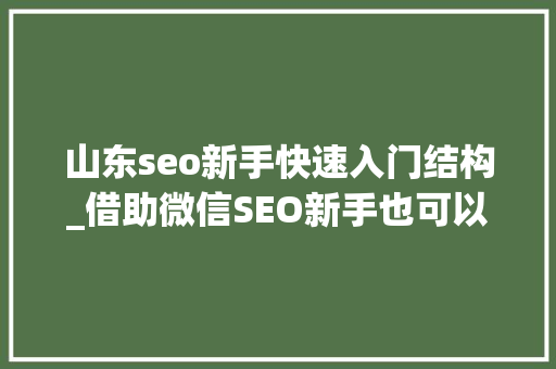 山东seo新手快速入门结构_借助微信SEO新手也可以轻松引流快速增粉 山东seo新手快速入门结构_借助微信SEO新手也可以轻松引流快速增粉 搜狗SEO