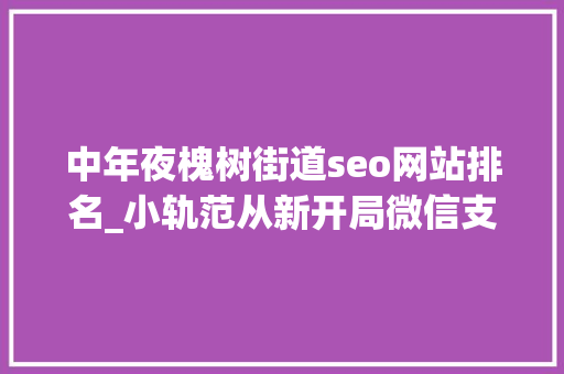 中年夜槐树街道seo网站排名_小轨范从新开局微信支付宝重押搜索 中年夜槐树街道seo网站排名_小轨范从新开局微信支付宝重押搜索 百度SEO