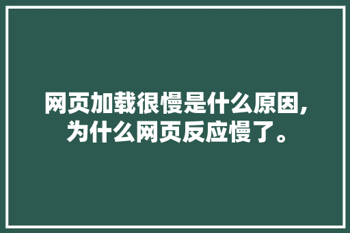 网页加载很慢是什么原因,为什么网页反应慢了。 网页加载很慢是什么原因,为什么网页反应慢了。 网站建设公司