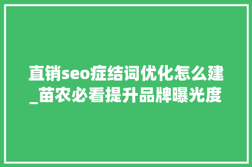 直销seo症结词优化怎么建_苗农必看提升品牌曝光度的六大年夜策略