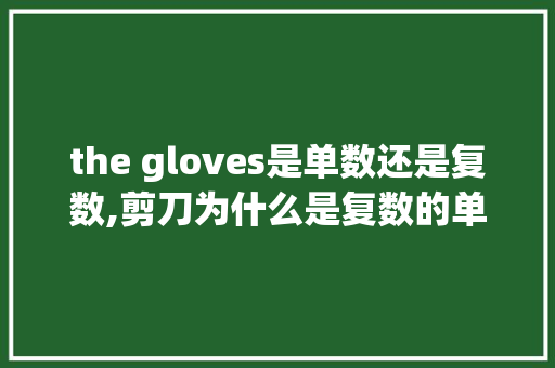 the gloves是单数还是复数,剪刀为什么是复数的单词。 the gloves是单数还是复数,剪刀为什么是复数的单词。 百度SEO
