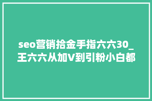 seo营销拾金手指六六30_王六六从加V到引粉小白都能学会的微博营销技巧 seo营销拾金手指六六30_王六六从加V到引粉小白都能学会的微博营销技巧 网站建设公司