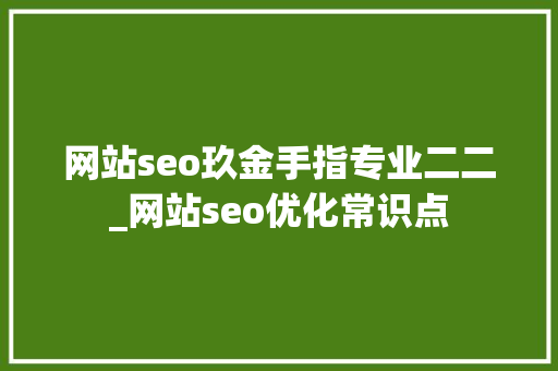 网站seo玖金手指专业二二_网站seo优化常识点 网站seo玖金手指专业二二_网站seo优化常识点 必应SEO