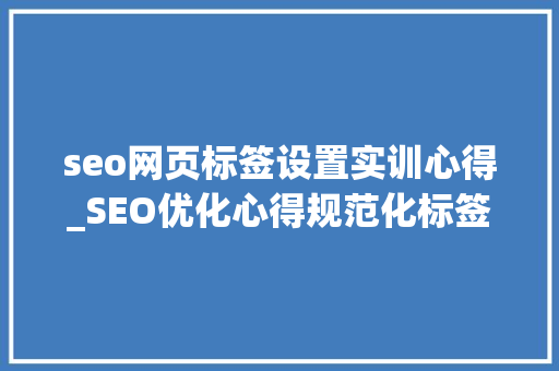 seo网页标签设置实训心得_SEO优化心得规范化标签解决网站重复性内容索引难题