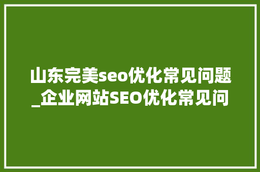 山东完美seo优化常见问题_企业网站SEO优化常见问题 山东完美seo优化常见问题_企业网站SEO优化常见问题 百度SEO