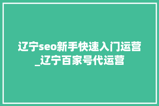 辽宁seo新手快速入门运营_辽宁百家号代运营 辽宁seo新手快速入门运营_辽宁百家号代运营 百度SEO