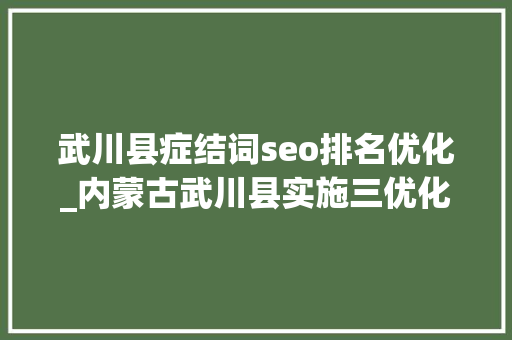 武川县症结词seo排名优化_内蒙古武川县实施三优化 高效提升干部能力 武川县症结词seo排名优化_内蒙古武川县实施三优化 高效提升干部能力 网站建设公司