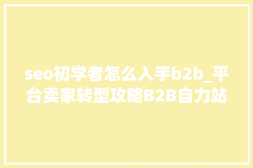 seo初学者怎么入手b2b_平台卖家转型攻略B2B自力站新手若何走稳第一步 seo初学者怎么入手b2b_平台卖家转型攻略B2B自力站新手若何走稳第一步 网站建设公司