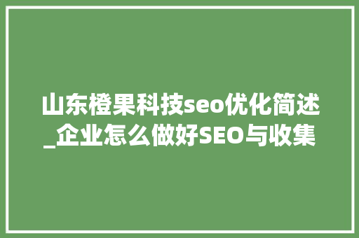 山东橙果科技seo优化简述_企业怎么做好SEO与收集营销