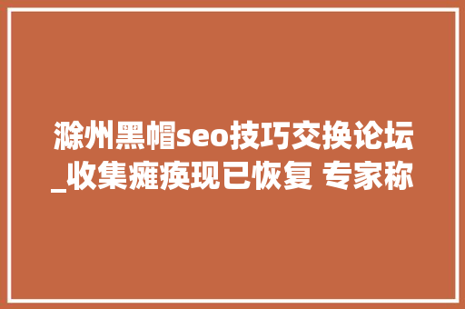 滁州黑帽seo技巧交换论坛_收集瘫痪现已恢复 专家称或是黑客进击 滁州黑帽seo技巧交换论坛_收集瘫痪现已恢复 专家称或是黑客进击 神马SEO