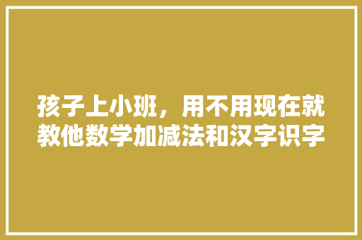 孩子上小班，用不用现在就教他数学加减法和汉字识字？或者应该教些什么东西,为什么要把儿歌拆分出来。 孩子上小班，用不用现在就教他数学加减法和汉字识字？或者应该教些什么东西,为什么要把儿歌拆分出来。 网站建设公司