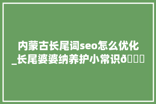 内蒙古长尾词seo怎么优化_长尾婆婆纳养护小常识😘 内蒙古长尾词seo怎么优化_长尾婆婆纳养护小常识😘 神马SEO