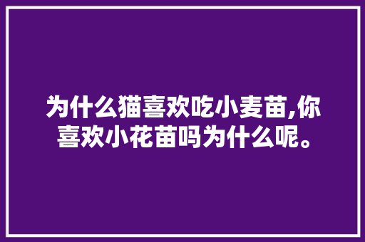 为什么猫喜欢吃小麦苗,你喜欢小花苗吗为什么呢。 为什么猫喜欢吃小麦苗,你喜欢小花苗吗为什么呢。 SEO关键词