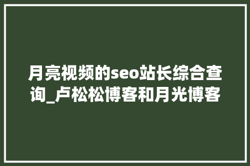 月亮视频的seo站长综合查询_卢松松博客和月光博客流量类型收入比较