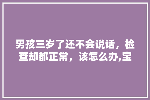 男孩三岁了还不会说话，检查却都正常，该怎么办,宝宝核磁共振未见明显异常。 男孩三岁了还不会说话，检查却都正常，该怎么办,宝宝核磁共振未见明显异常。 SEO关键词