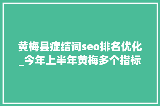 黄梅县症结词seo排名优化_今年上半年黄梅多个指标位居黄冈全市第二