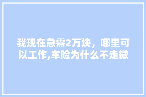我现在急需2万块，哪里可以工作,车险为什么不走微商平台。 我现在急需2万块，哪里可以工作,车险为什么不走微商平台。 百度SEO