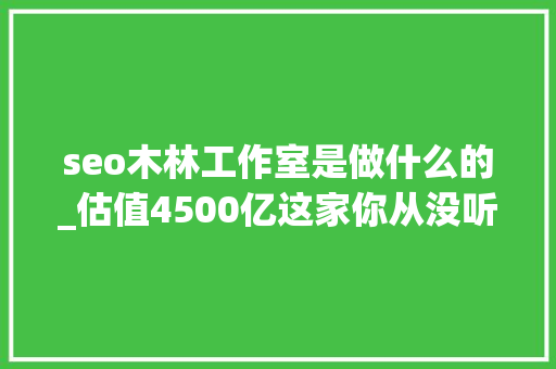 seo木林工作室是做什么的_估值4500亿这家你从没听过的中国公司活成了全球时尚顶流 seo木林工作室是做什么的_估值4500亿这家你从没听过的中国公司活成了全球时尚顶流 网站建设公司
