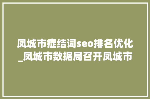 凤城市症结词seo排名优化_凤城市数据局召开凤城市第三批 营商情形社会监督员聘任大年夜会