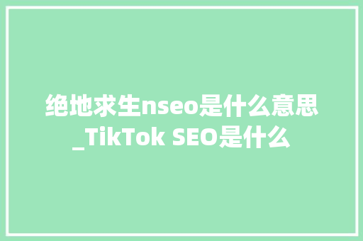绝地求生nseo是什么意思_TikTok SEO是什么 绝地求生nseo是什么意思_TikTok SEO是什么 神马SEO