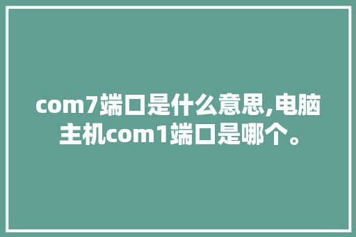 com7端口是什么意思,电脑主机com1端口是哪个。 com7端口是什么意思,电脑主机com1端口是哪个。 必应SEO