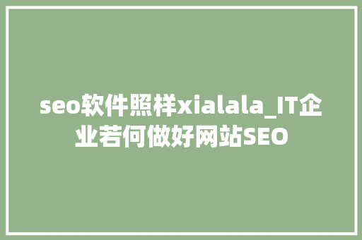 seo软件照样xialala_IT企业若何做好网站SEO seo软件照样xialala_IT企业若何做好网站SEO 神马SEO