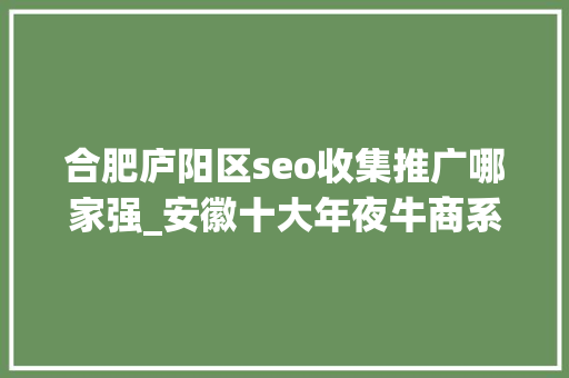 合肥庐阳区seo收集推广哪家强_安徽十大年夜牛商系列报道二 合肥庐阳区seo收集推广哪家强_安徽十大年夜牛商系列报道二 百度SEO