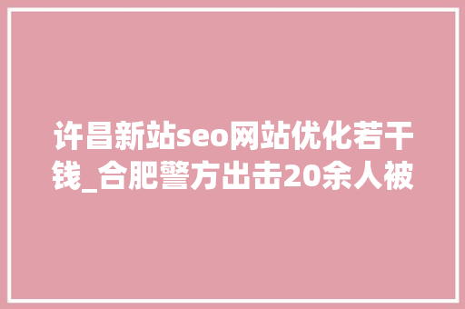 许昌新站seo网站优化若干钱_合肥警方出击20余人被抓