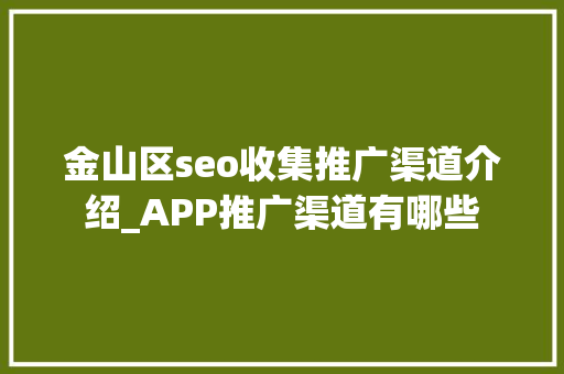 金山区seo收集推广渠道介绍_APP推广渠道有哪些 SEO关键词 金山区seo收集推广渠道介绍_APP推广渠道有哪些 金山区seo收集推广渠道介绍_APP推广渠道有哪些 SEO关键词