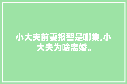 小大夫前妻报警是哪集,小大夫为啥离婚。 小大夫前妻报警是哪集,小大夫为啥离婚。 网站建设公司