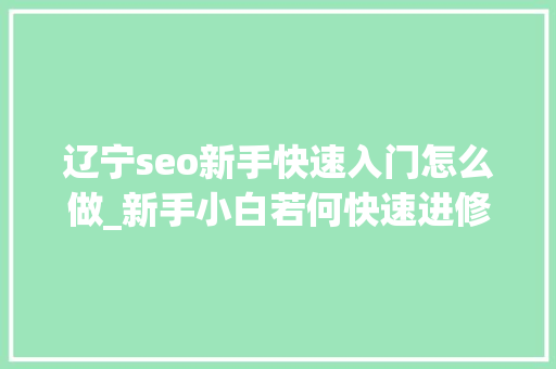 辽宁seo新手快速入门怎么做_新手小白若何快速进修网赚技能 辽宁seo新手快速入门怎么做_新手小白若何快速进修网赚技能 网站建设公司
