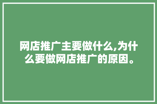 网店推广主要做什么,为什么要做网店推广的原因。 网店推广主要做什么,为什么要做网店推广的原因。 百度SEO