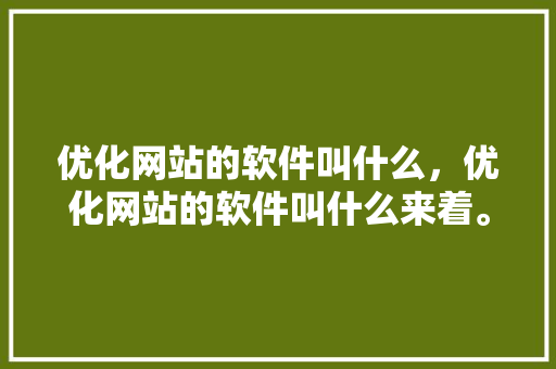 优化网站的软件叫什么，优化网站的软件叫什么来着。 优化网站的软件叫什么，优化网站的软件叫什么来着。 百度SEO