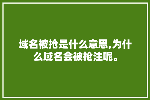 域名被抢是什么意思,为什么域名会被抢注呢。 域名被抢是什么意思,为什么域名会被抢注呢。 网站建设公司