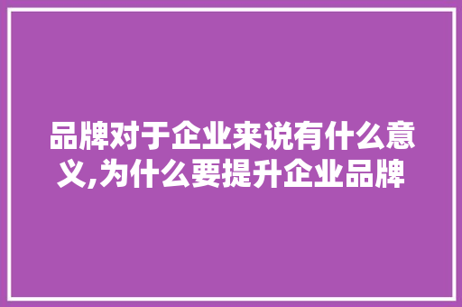 品牌对于企业来说有什么意义,为什么要提升企业品牌质量。 品牌对于企业来说有什么意义,为什么要提升企业品牌质量。 百度SEO