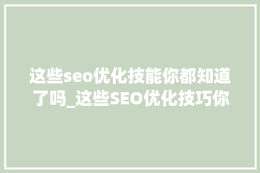 这些seo优化技能你都知道了吗_这些SEO优化技巧你都知道了吗 这些seo优化技能你都知道了吗_这些SEO优化技巧你都知道了吗 百度SEO