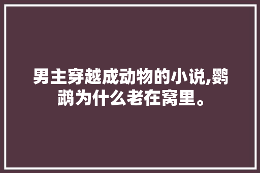 男主穿越成动物的小说,鹦鹉为什么老在窝里。 男主穿越成动物的小说,鹦鹉为什么老在窝里。 神马SEO