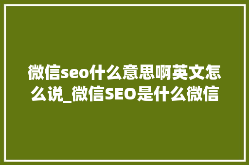 微信seo什么意思啊英文怎么说_微信SEO是什么微信SEO实战方法总结 微信seo什么意思啊英文怎么说_微信SEO是什么微信SEO实战方法总结 百度SEO