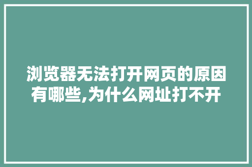 浏览器无法打开网页的原因有哪些,为什么网址打不开别人能打开。