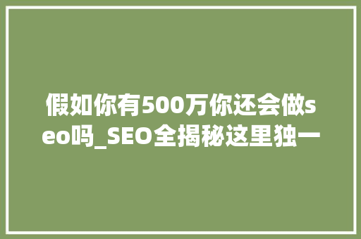 假如你有500万你还会做seo吗_SEO全揭秘这里独一份适合各阶段人群 假如你有500万你还会做seo吗_SEO全揭秘这里独一份适合各阶段人群 网站建设公司