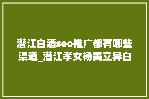 潜江白酒seo推广都有哪些渠道_潜江孝女杨美立异白酒商业模式