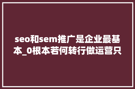 seo和sem推广是企业最基本_0根本若何转行做运营只需3步 seo和sem推广是企业最基本_0根本若何转行做运营只需3步 百度SEO