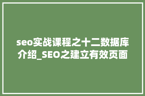 seo实战课程之十二数据库介绍_SEO之建立有效页面数据库目的定义流程应用 seo实战课程之十二数据库介绍_SEO之建立有效页面数据库目的定义流程应用 搜狗SEO