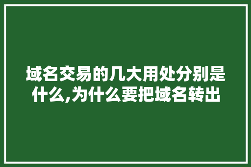 域名交易的几大用处分别是什么,为什么要把域名转出到国外。 域名交易的几大用处分别是什么,为什么要把域名转出到国外。 搜狗SEO